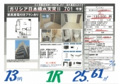 c26101313